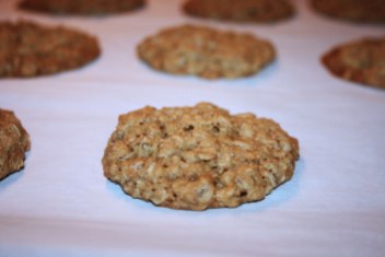 Serge's Famous Oatmeal cookies
