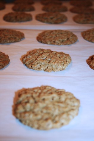 Serge's Famous Oatmeal cookies